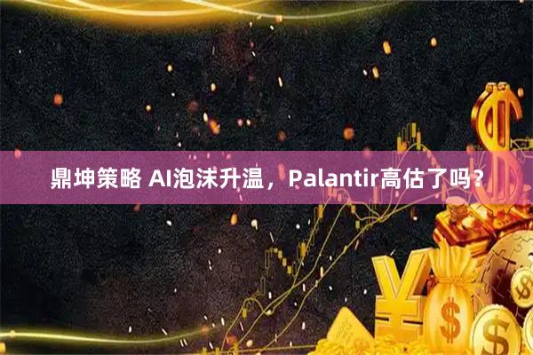 鼎坤策略 AI泡沫升温，Palantir高估了吗？