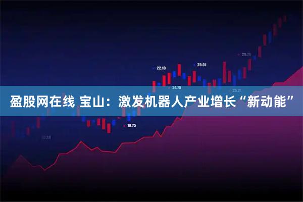 盈股网在线 宝山：激发机器人产业增长“新动能”