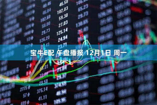 宝牛E配 午盘播报 12月1日 周一